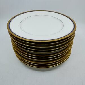 The Seville Vignaud Limoges Porcelain Dinner Plates